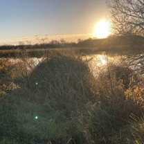 Grashaufen am Ufer eines Sees mit der untergehenden Sonne im Hintergrund