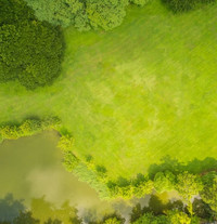 Luftbild auf eine grüne Wiese