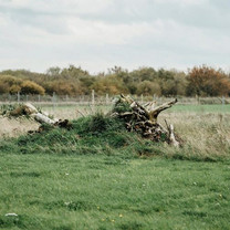 Ein von Gras bewachsener Stubbenhaufen mit einer abgesperrten Wiese im Hintergrund.