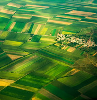 Luftbild von grünen Feldern