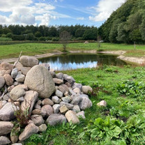 Ein Steinhaufen befindet sich am Rande eines Teichs.