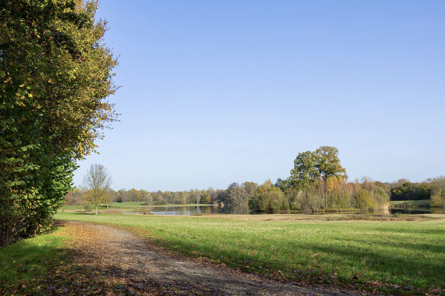 Grüne Fläche, blauer Himmel
