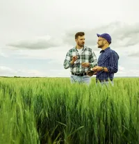 Zwei Männer stehen im hohen Gras
