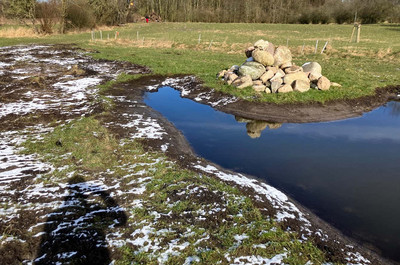Kleines Gewässer und Steinhaufen auf einer Ackerfläche, leicht mit Schnee bedeckt
