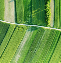 Luftaufnahme von grünen Feldern