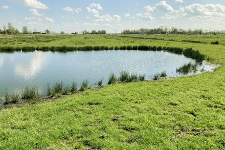 Ein See inmitten einer grünen Wiese auf einer entwickelten Ökofläche