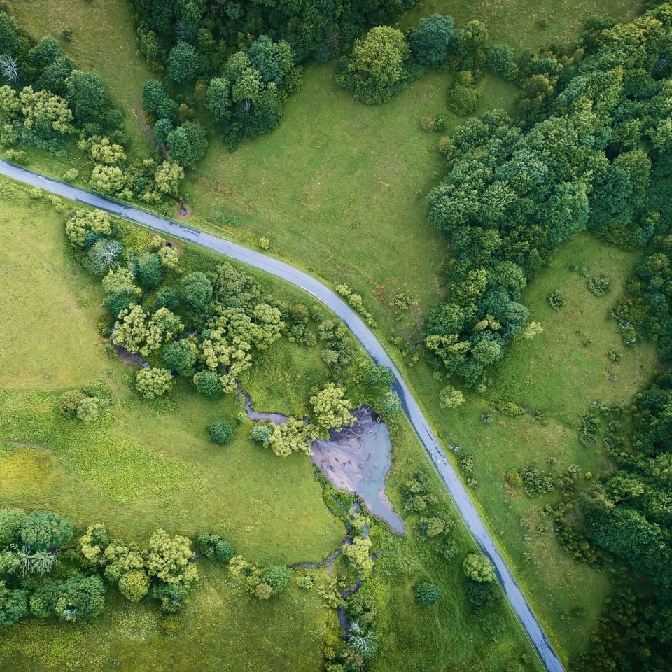 Ein Luftbild von einem Wald