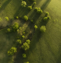 Luftbild von einem Waldstück